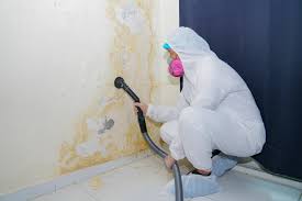 Why You Should Choose Our Mold Remediation Services in Parrish, AL